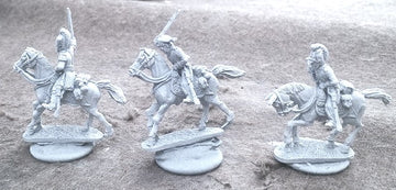 Baden Cavalry Regiment (12 Models)